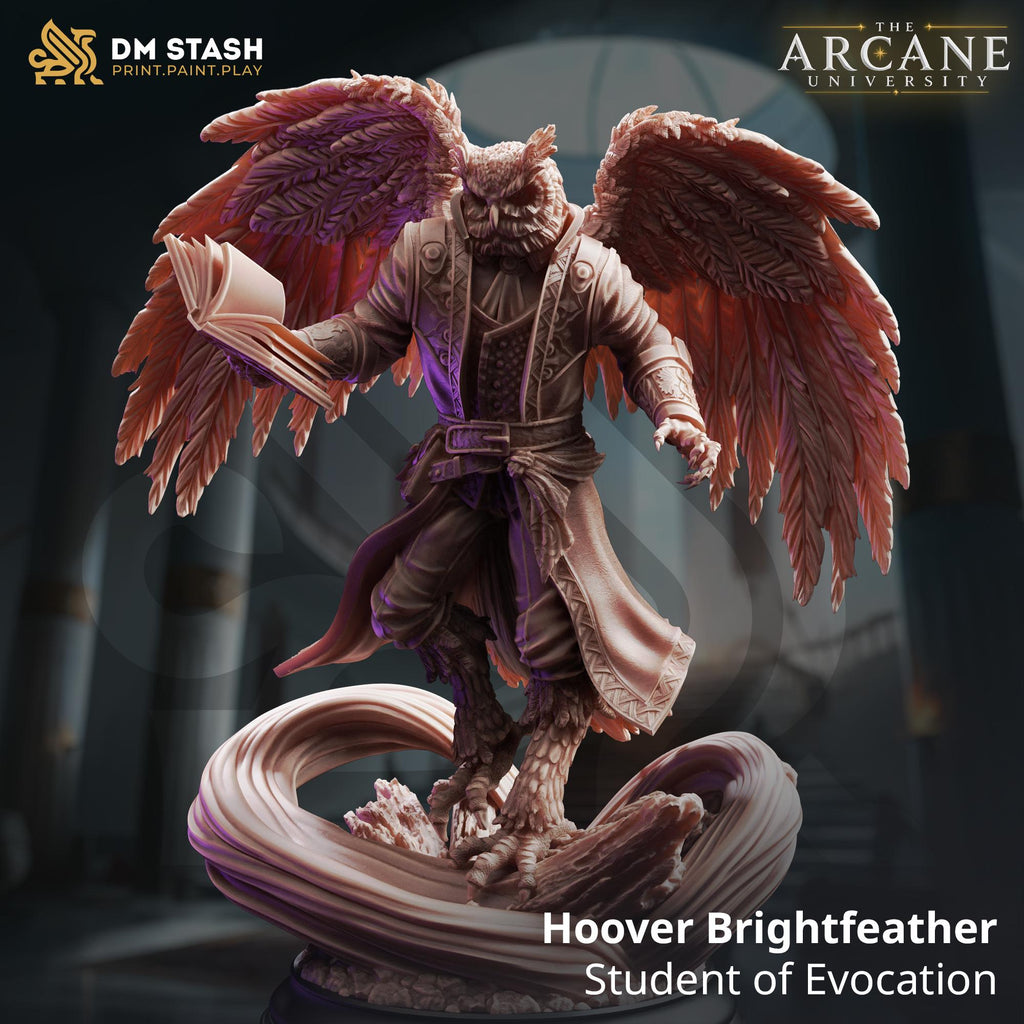 Hoover Brightfeather Evocation Mini | DM Stash Bird Mage Wizard | Aarakocra Owlin Sorcerer Miniature | 32mm Gaming 75mm Display Scale