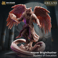 Hoover Brightfeather Evocation Mini | DM Stash Bird Mage Wizard | Aarakocra Owlin Sorcerer Miniature | 32mm Gaming 75mm Display Scale